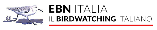 EBN Italia logo